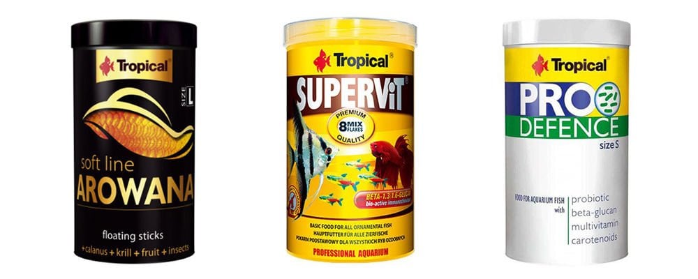 Balıkları Beslerken Neye Dikkat Etmeliyim?