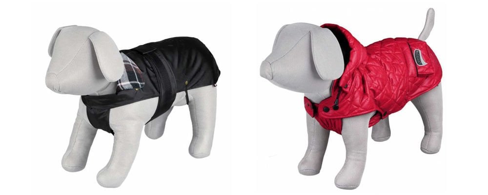 2024’ün En Tatlı Köpek Kıyafetleri