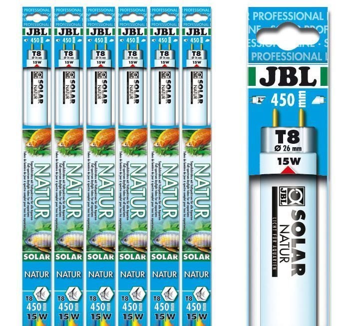 Akvaryum Floresanları