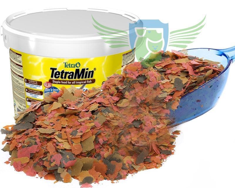 Balık yemlerinin kaliteli olduğu nasıl anlaşılır