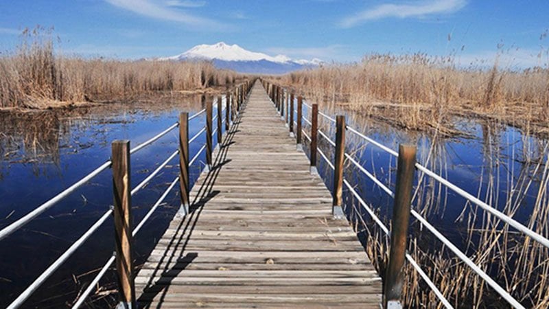 Kusursuz Doğallıktaki Kuş Cenneti Sultan Sazlığı ile Tanışın