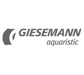 Giesemann