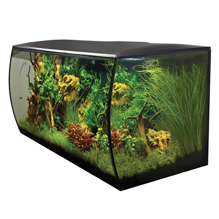 Fluval Flex Black 123 Lt Akvaryum 82 x 40 x 39 cm