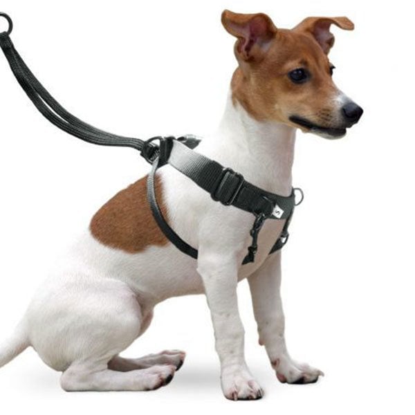 Karlie Easy Walker Kolay Yürüyüş Köpek Göğüs Tasması 22 x 32 cm Small