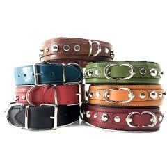 Oripet S-9911 Çift Halkalı Aksesuarlı Deri Köpek Boyun Tasması S