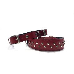 Oripet M-DCA-4112 Çift Tokalı Aksesuarlı Deri Köpek Boyun Tasması M