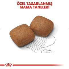 Royal Canin Giant Junior 15 kg Yavru Köpek Maması