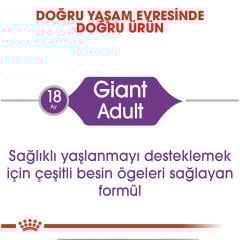 Royal Canin Giant Adult 15 kg Köpek Irk Maması