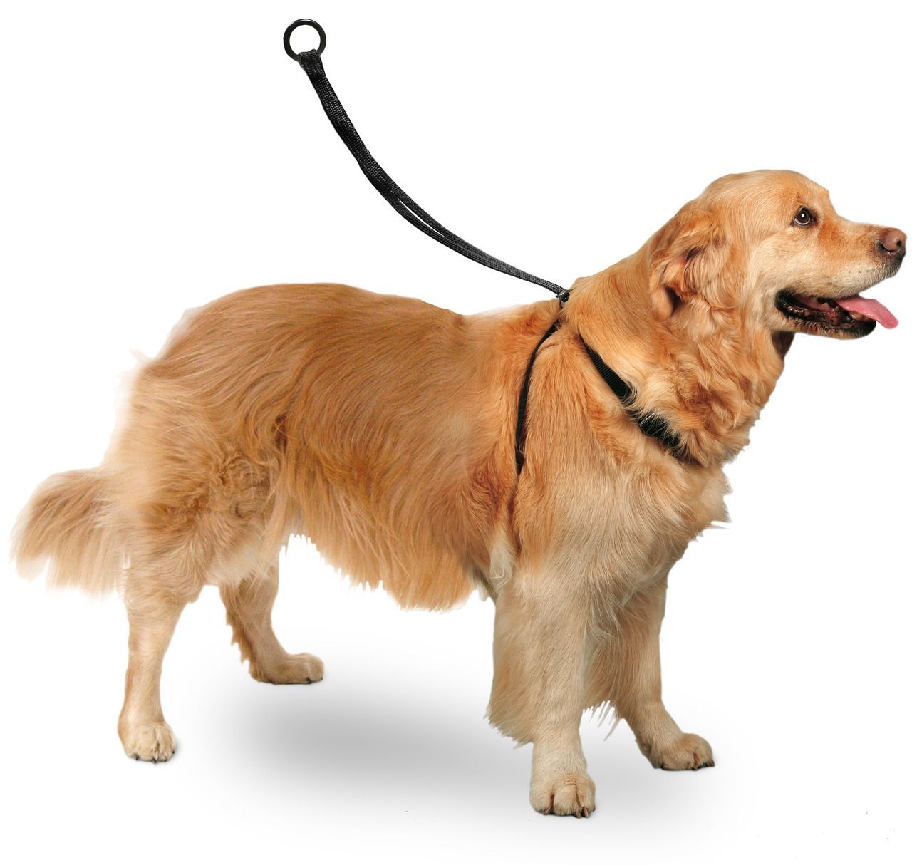 Karlie Easy Walker Kolay Yürüyüş Köpek Göğüs Tasması 40 x 58 cm Large