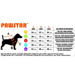 PawStar Neon Fuşya Railway Küçük Irk Yelek Medium