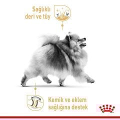 Royal Canin Pomeranian Adult 1,5 Kg Köpek Irk Maması