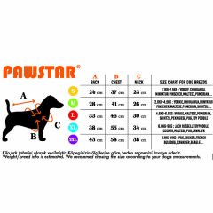 PawStar Neon Fuşya Railway Küçük Irk Köpek Yelek XLarge