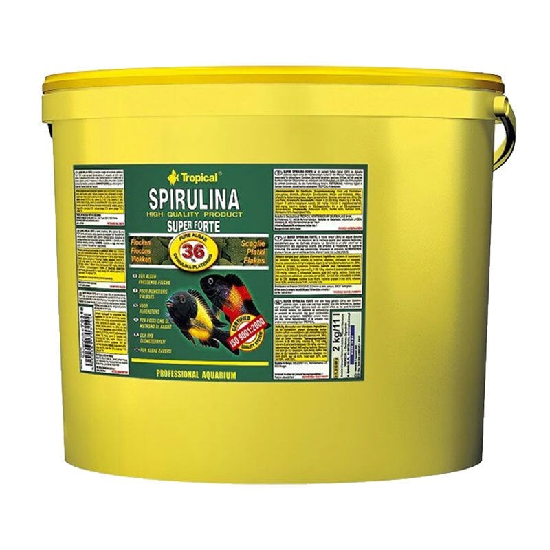 Tropical Spirulina Super Forte Flake Açık Paket