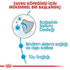 Royal Canin Mini Indoor Puppy 1,5 kg Yavru Köpek Maması