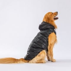 PawStar Siyah Railway Büyük Irk Köpek Yelek 3XLarge