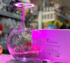 AquaReef Angel Grow Led Alt Platformlu Aydınlatma