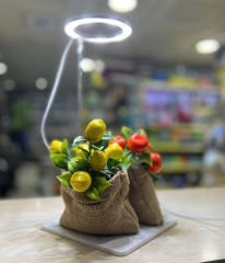 AquaReef Angel Grow Led Alt Platformlu Aydınlatma