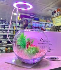 AquaReef Angel Grow Led Alt Platformlu Aydınlatma