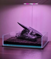 AquaReef Angel Grow Led Alt Platformlu Aydınlatma
