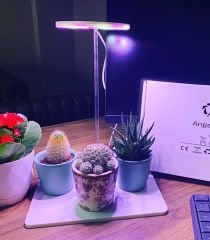 AquaReef Angel Grow Led Alt Platformlu Aydınlatma