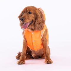 PawStar Neon Turuncu Railway Küçük ve Orta Irk Yelek 2XL