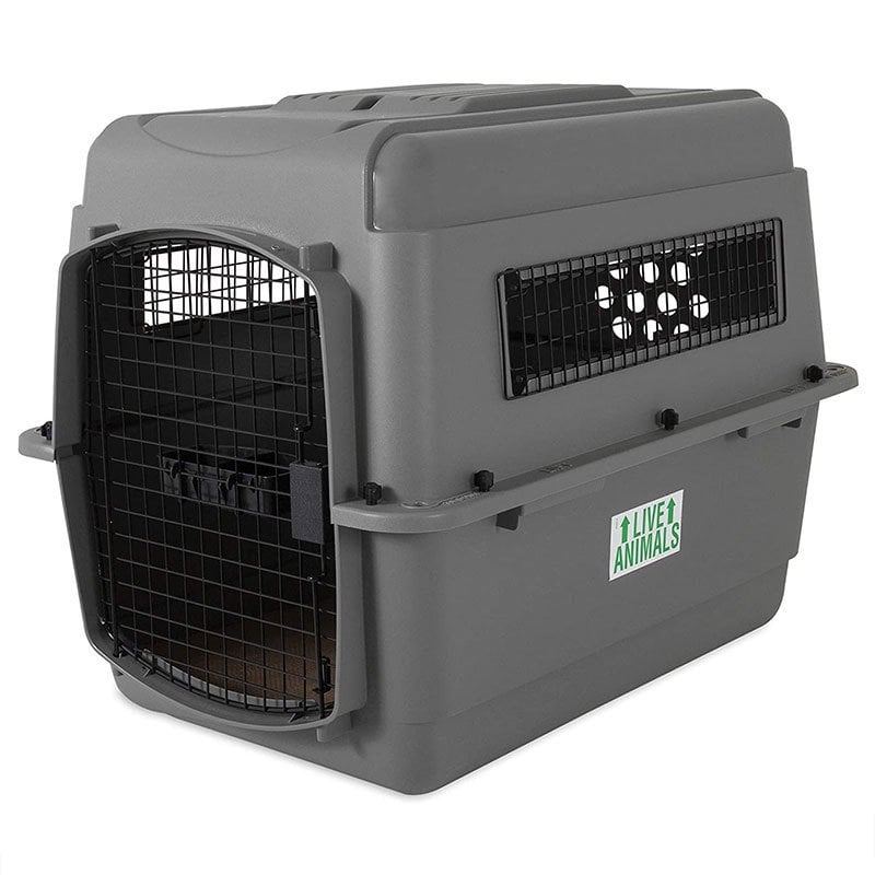 Petmate Sky Kennel Jumbo Köpek Taşıma Kafesi 121,92 x 81,28 x 88,9 cm