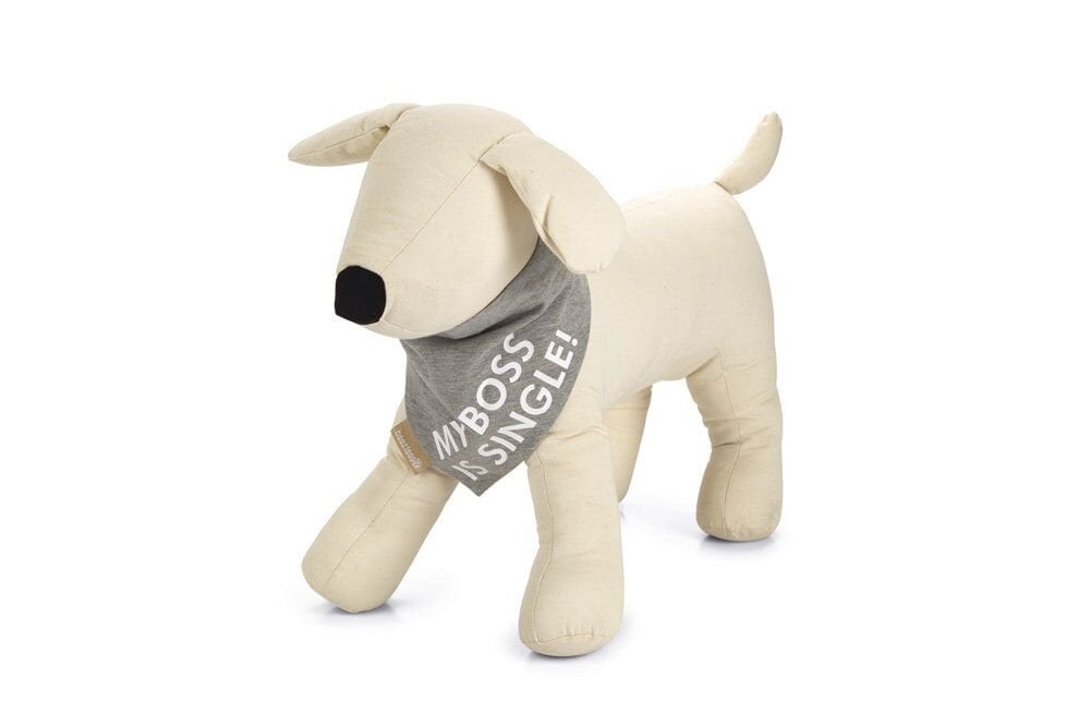 Beeztees Gri Bandanalı Köpek Boyun Tasması 22 x 12 cm Small