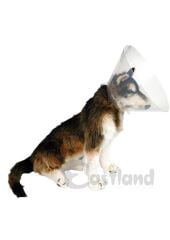 Eastland Elizabeth Köpek Yakalığı 25 Cm