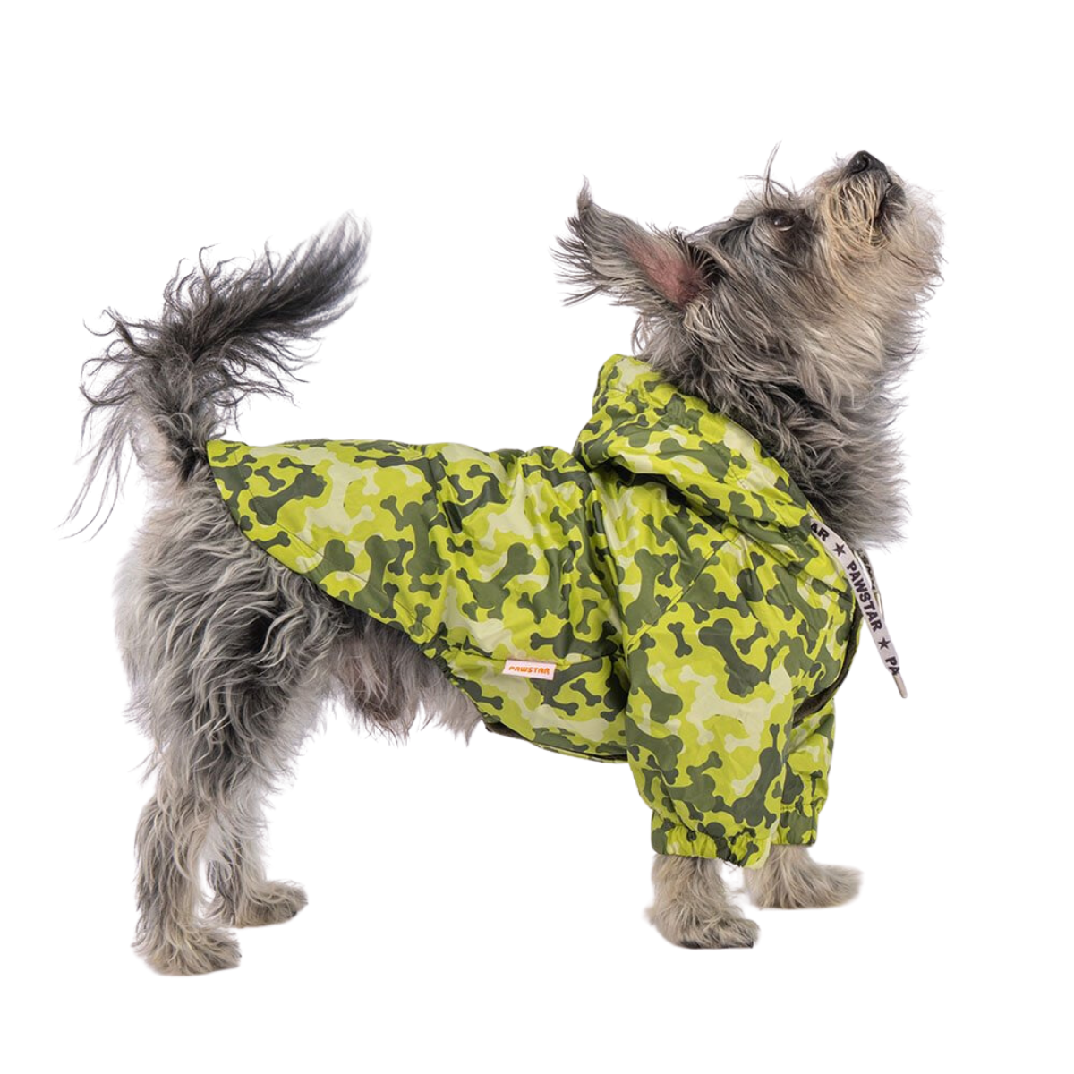 PawStar GreenOssa Küçük Irk Köpek Yağmurluk XLarge