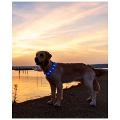 Trixie Işıklı Köpek Boyun Tasması M - L Mavi - 18 Mm - 50 Cm