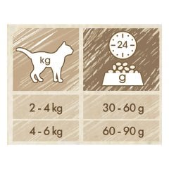 Purina Cat Chow Somonlu 15 Kg