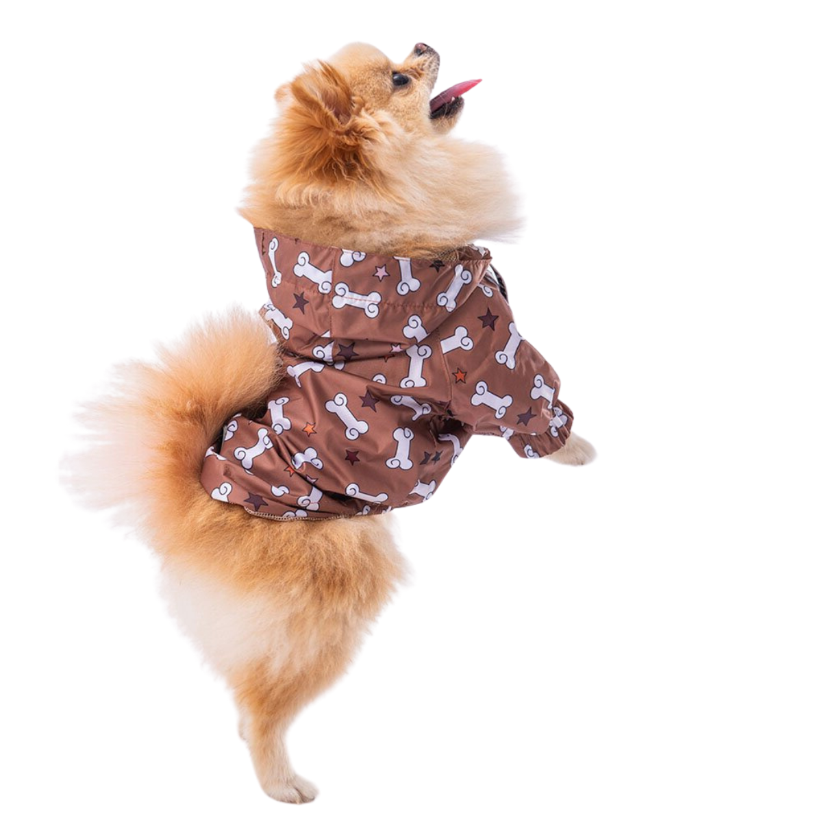 PawStar StellaOs Küçük Irk Köpek Yağmurluk XLarge