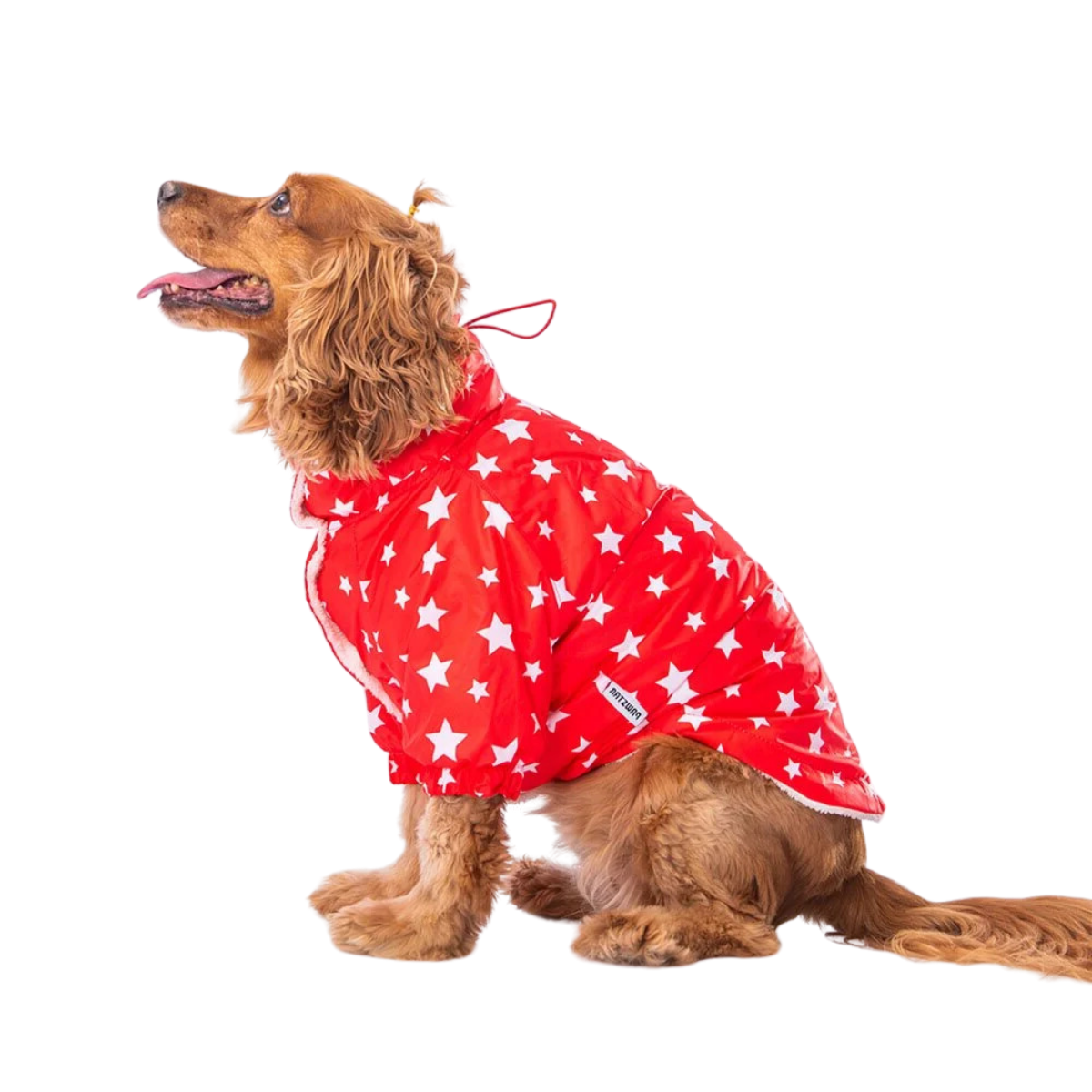 PawStar Kırmızı Stars Küçük Irk Köpek Yağmurluk 2XLarge