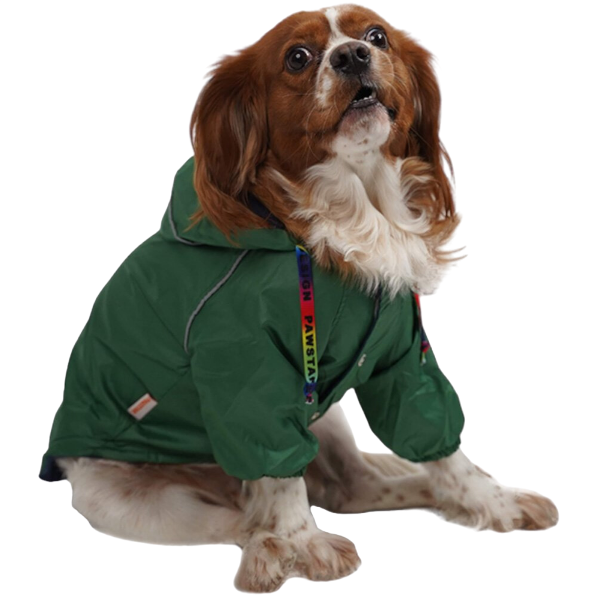 PawStar Yeşil Pluvia Küçük Irk Köpek Yağmurluk Small