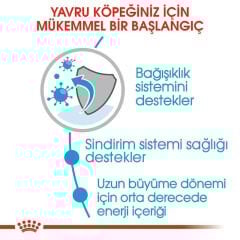 Royal Canin Maxi Puppy 15 kg Yavru Köpek Maması