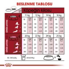 Royal Canin Medium Adult 15 kg Köpek Maması