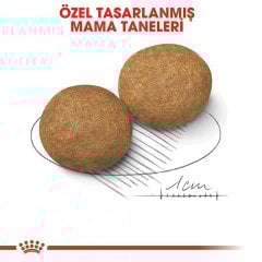 Royal Canin Medium Adult 15 kg Köpek Maması
