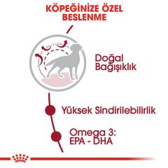 Royal Canin Medium Adult 15 kg Köpek Maması