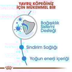 Royal Canin Mini Puppy 2 kg Yavru Köpek Maması