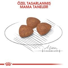 Royal Canin Mini Puppy 4 kg Yavru Köpek Maması