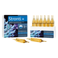 Prodibio Stronti+ 12 Ampul
