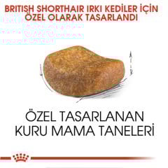 Royal Canin British Short Hair 2 Kg