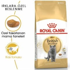 Royal Canin British Short Hair 2 Kg