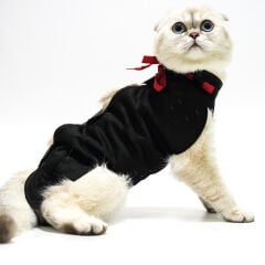 Petsuit S Korse