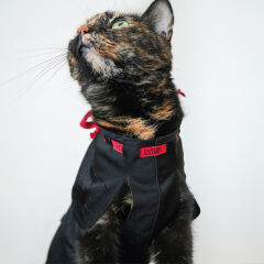 Petsuit S Korse