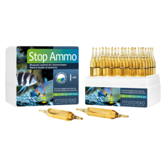 Prodibio Stop Ammo 30 Ampul