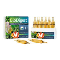 Prodibio Bio Digest 12 Ampül