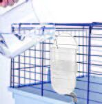 Imac Bibber 400 ml Guinea pig ve Tavşan Suluğu
