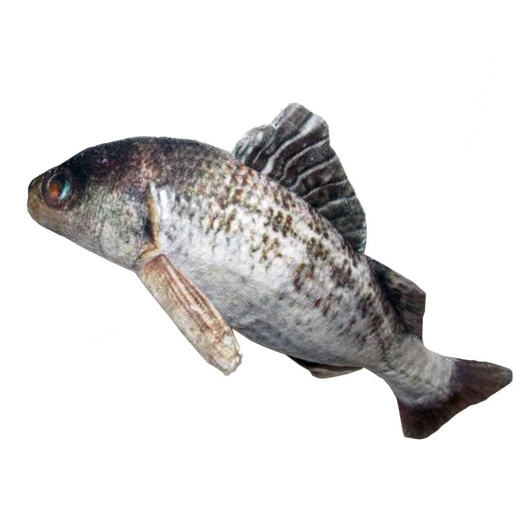 Eastland Catnip İçerikli Peluş Kedi Oyuncağı Levrek 20 Cm