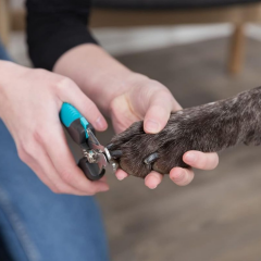 Trixie Paslanmaz Çelik Köpek Tırnak Makası 16 Cm